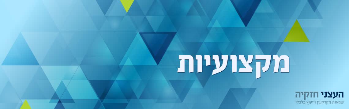 שמאות מקרקעין וניהול נכסים